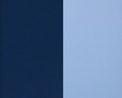 Chameleon Dark Blue
